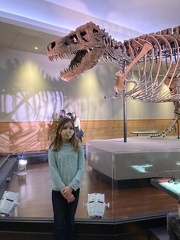 Field Museum Dino3
